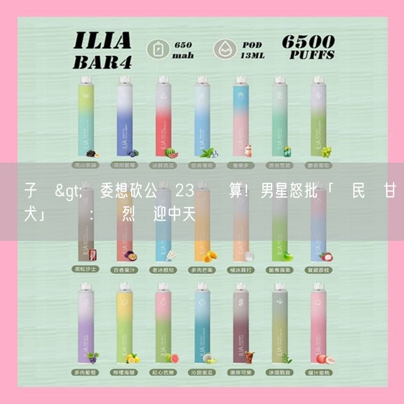 喜八辣電子煙>藍委想砍公視23億預算！男星怒批「國民黨甘為鷹犬」嗆聲：熱烈歡迎中天